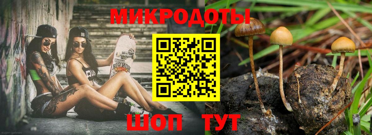 Архангельск  Галлюциногенные грибы Psilocybine cubensis  магазин продажи   Вход с VPN 