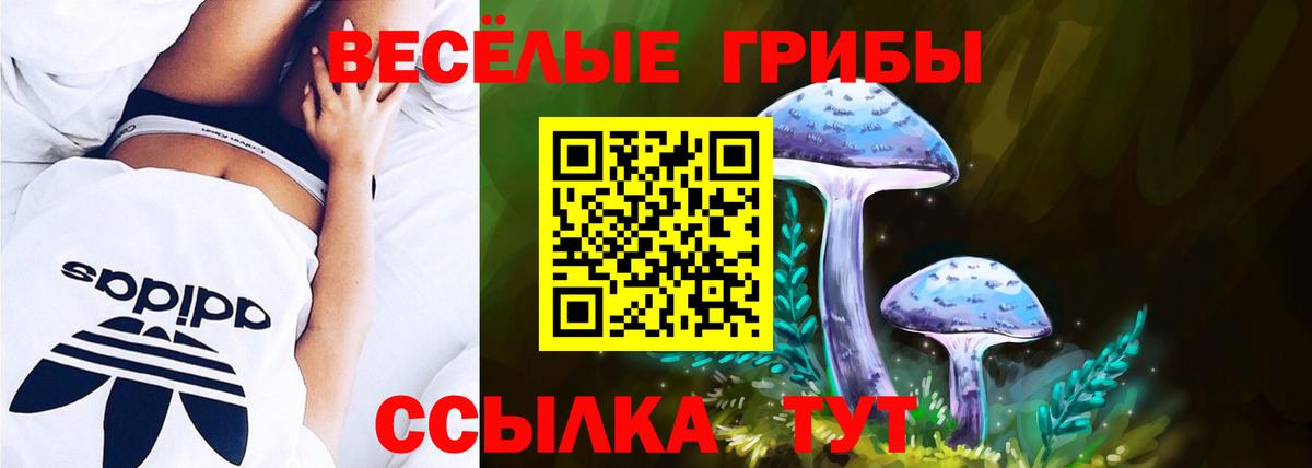 Псилоцибиновые грибы мухоморы Архангельск