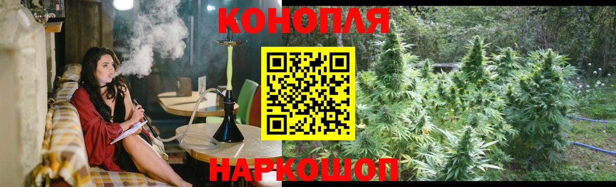 Альфа ПВП Архангельск